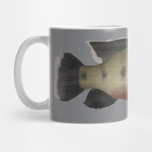 Banded Jewelfish Mug
